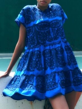 Zara Royal and Navy Blue Embroidered Jacket